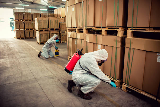 Best Residential Pest Control  in Bull Shoals, AR
