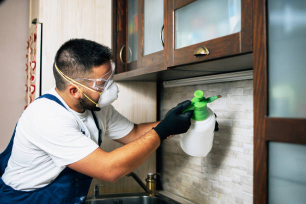 Best Ant Control Services  in Bull Shoals, AR