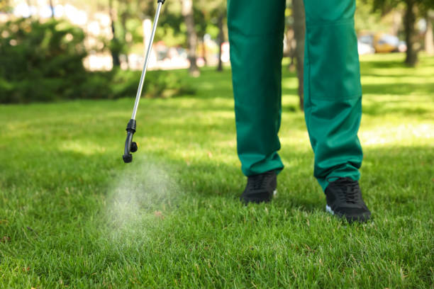 Best Emergency Pest Control  in Bull Shoals, AR