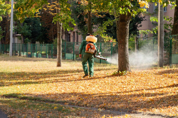 Pest Control for Restaurants in Bull Shoals, AR