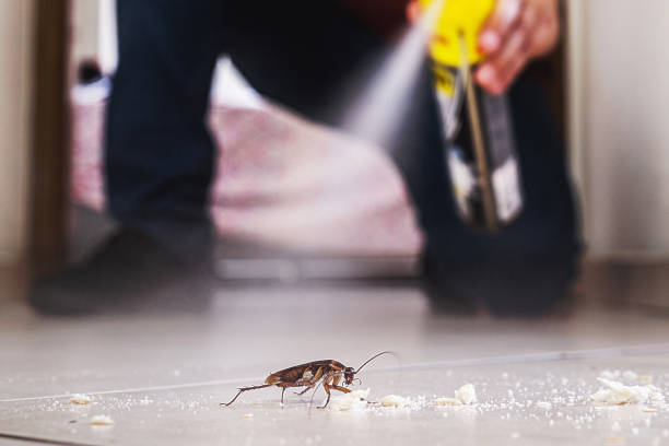 Bull Shoals, AR Pest Control Company