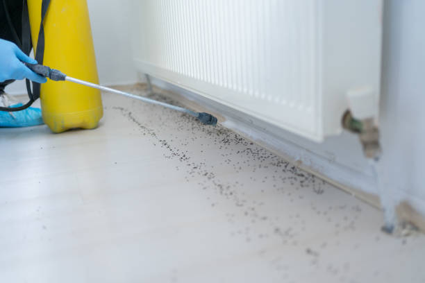 Best Exterminator Services  in Bull Shoals, AR
